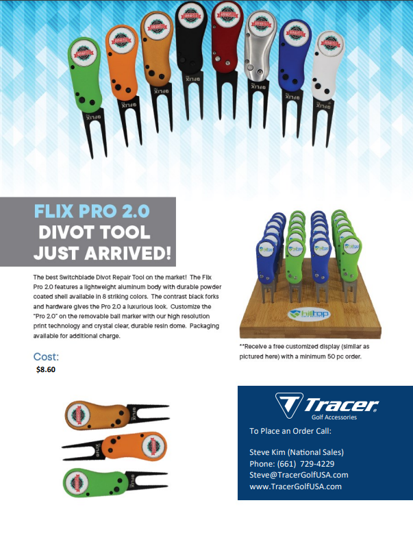 Flix PRO Divot Tool